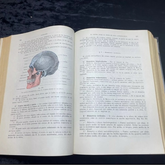 4 Volume Set Tratado De Anatomia Humana Testut Latarjet Human Anatomy 1954 - Picture 7 of 15